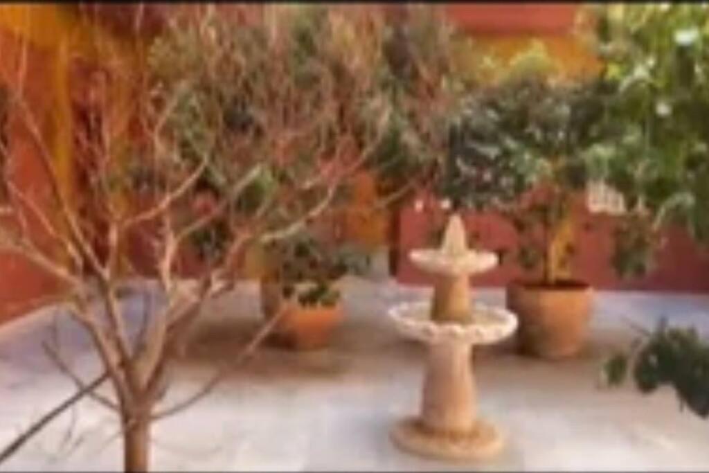 Relator Apartment Seville Luaran gambar